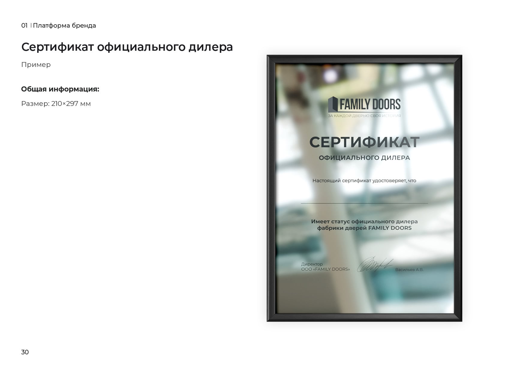 Фирменный стиль FAMILY DOOORS